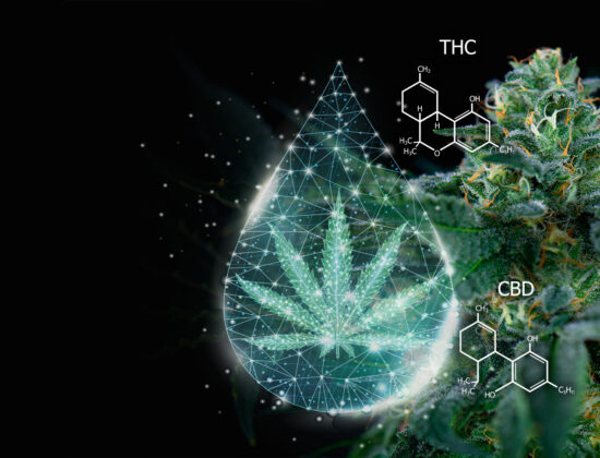 GraniteLeaf Cannabis – Chichester