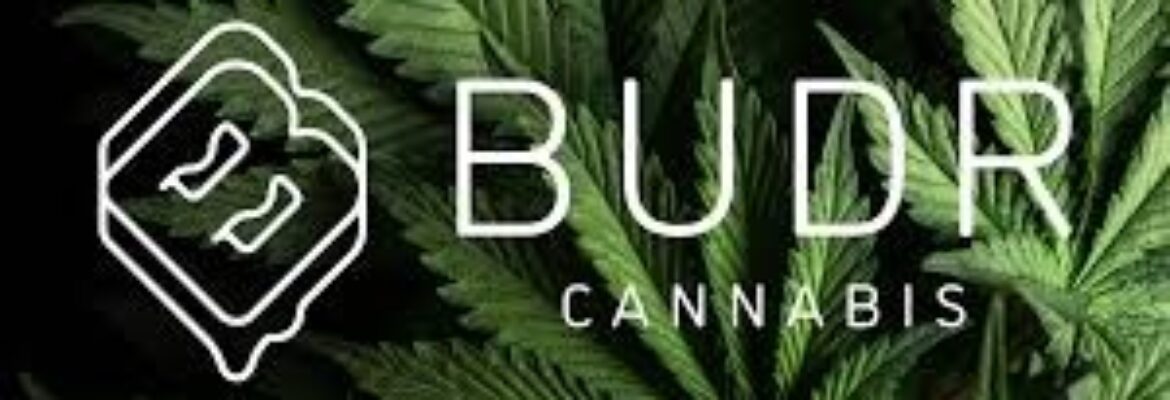 Budr Cannabis